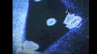 UFO Case Review - Belgian UFO Wave, 1989 - 1991